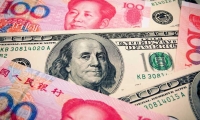 中国瑞林(603257